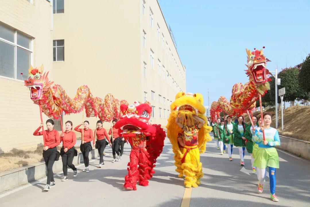 蓝月亮精选料大全